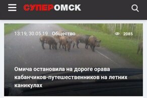 Лучшие заголовки наших СМИ