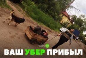 Подборка автомобильных приколов