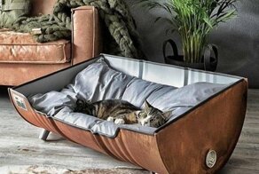 20 необычных решений дизайна интерьера, в которых сочетаются красота, стиль и функциональность