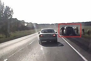 Дорога опасна везде и всегда