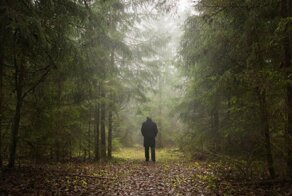 Почему заблудившийся человек ходит кругами?