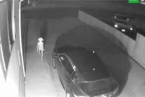 Американка испугалась, увидев возле своего дома эльфа Добби