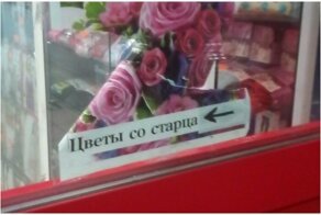 Калабс вбасей это гиноцыт митистов и озабоченный брезентовый ошейник