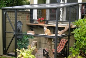 Вот так выглядит кошачья дача!