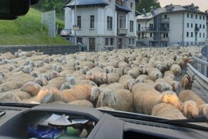 Утренняя порция фотографий со всего мира