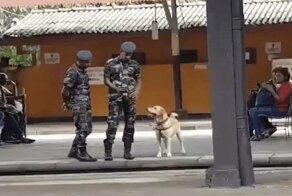 Служивым хорошим мальчикам тоже хочется подурачиться