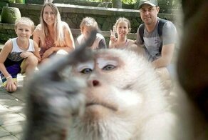 На Бали обезьяна отобрала камеру и показала в объектив средний палец