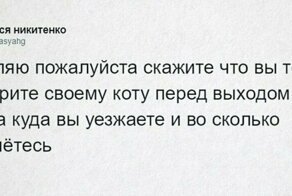 «Охраняй. Котов домой не води»: люди рассказывают, что говорят своим питомцам перед уходом из дома