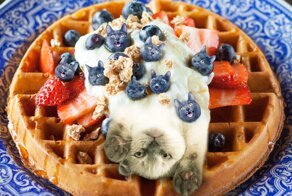 Забавный фотопроект Ксении Змановской "Кошки в еде"