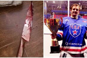 Жена бывшего вратаря сборной России по хоккею была убита в собственном доме: видео