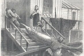 Что русскому хорошо… Зарисовки иностранцев, побывавших в России в середине XIX века