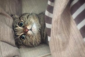 С добрым утром!