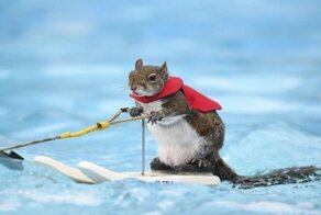 Утренняя порция фотографий со всего мира