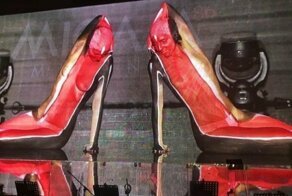 Неожиданно, или Живая обувь