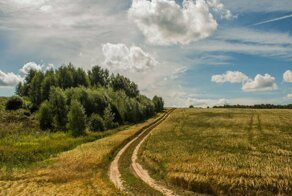 Дороги мои, дороги