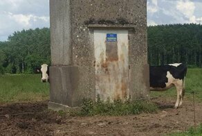 Шагу нельзя сделать, чтобы не вляпаться в... портал