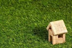 Почему нельзя давать газону заколоситься?