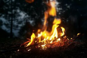За костры в лесу придется платить внушительные штрафы