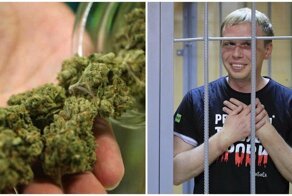 Власти решили смягчить «антинаркотическую» статью