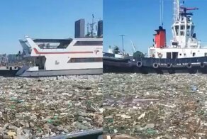Море пластикового мусора  в Южной Африке
