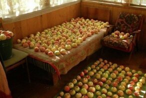 Запахи из детства - фото с самыми приятными ассоциациями