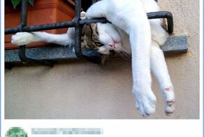 Фото с комментариями