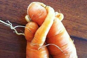 Смешные фотографии "оживших" овощей и фруктов