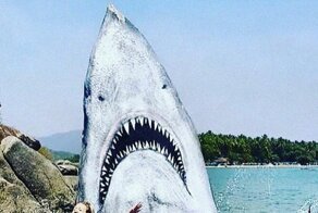 Художник превратил скалу в чудовище