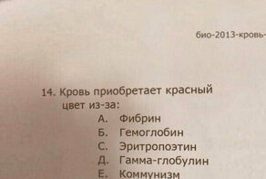 15 странных и провокационных картинок из серии "WTF?"