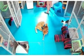 Кто успел, тот и сел!