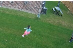 Койот напал на ребёнка во дворе дома в США