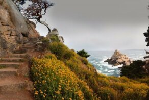 Утренняя порция фотографий со всего мира