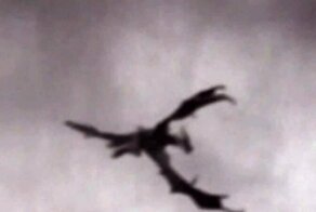 Летучий человек. Реальная история