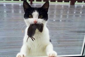 К общему столу