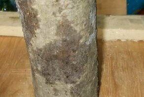 Вот такое вот хобби 2