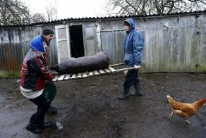 Негламурная жизнь