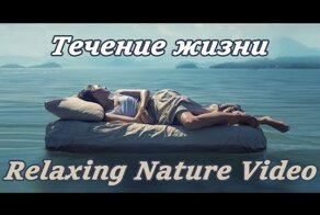 Течение жизни