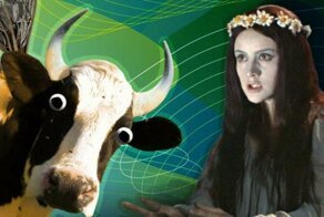 Что общего между невестой и ведьмой, быком и пчелой