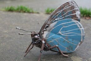 Утренняя порция фотографий со всего мира