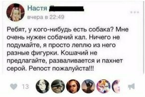 И почему они такие дуры?