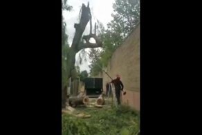 Отомстило: незнание основ физики привело к нокауту