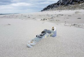 Загадка океана: на разных пляжах мира стали находить новые кроссовки Nike