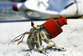 Пластик в океане, или как человек разрушает природу