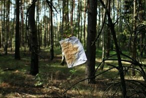 35 лет назад омич оставил письмо в крымском дереве, и теперь оно вернулось к нему