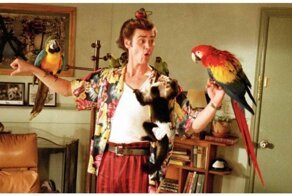 Когда понимаешь птичий язык