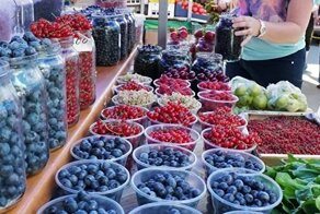 Минсельхоз не планирует ограничивать сбор грибов и ягод