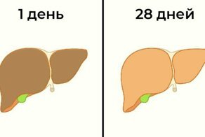 5+ изменений в организме, если отказаться от алкоголя хотя бы на месяц