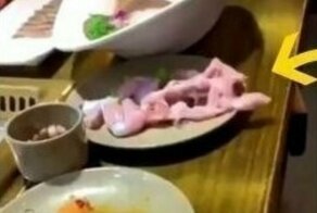 "Ой, а у вас мясо убежало!": кусок курицы сбежал с тарелки в ресторане, и это выглядит жутко