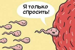 10 смешных комиксов о том, что чувствуют органы внутри нас