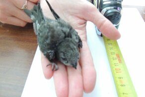 Нужна помощь